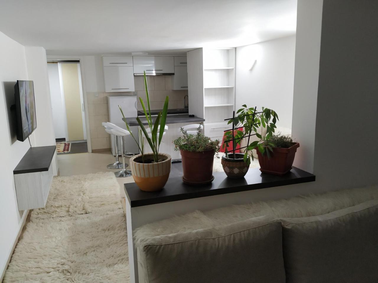 Apartment Merjam SJJ Eksteriør billede