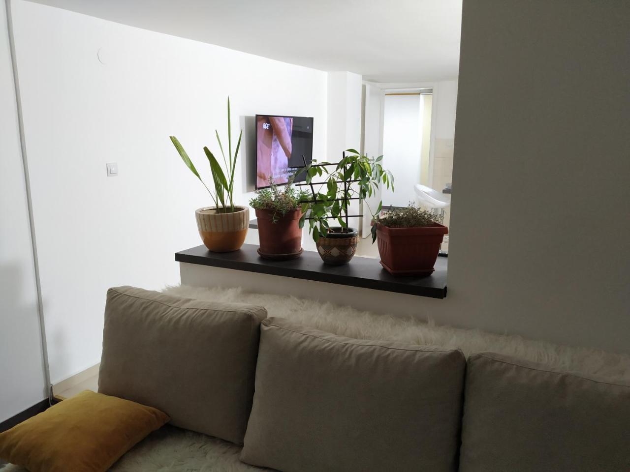 Apartment Merjam SJJ Eksteriør billede
